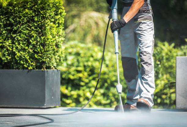 Best Gas Station Cleaning  in Carlyle, IL